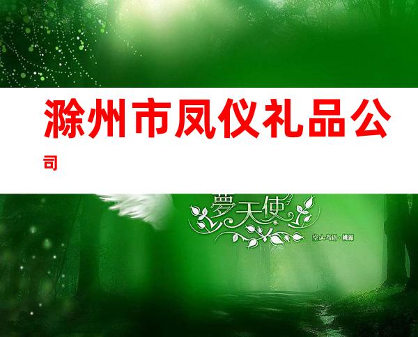 滁州市凤仪礼品公司
